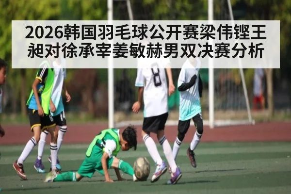2026韩国羽毛球公开赛梁伟铿王昶对徐承宰姜敏赫男双决赛分析